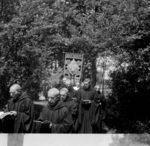 St. Adelbertsviering te Egmond, Bestanddeelnr 902-8146