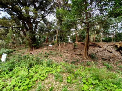 Spring at Institute for Nature Study 9