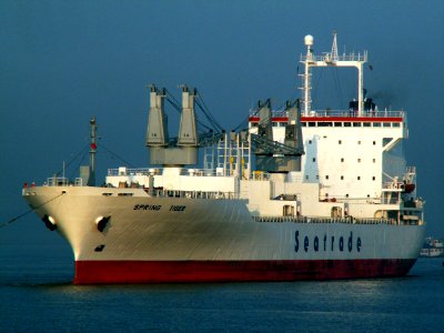 Spring Tiger port