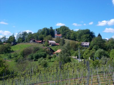 St. Barbara's Church (Blatno) 04