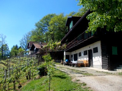 St. Barbara's Church (Blatno) 06