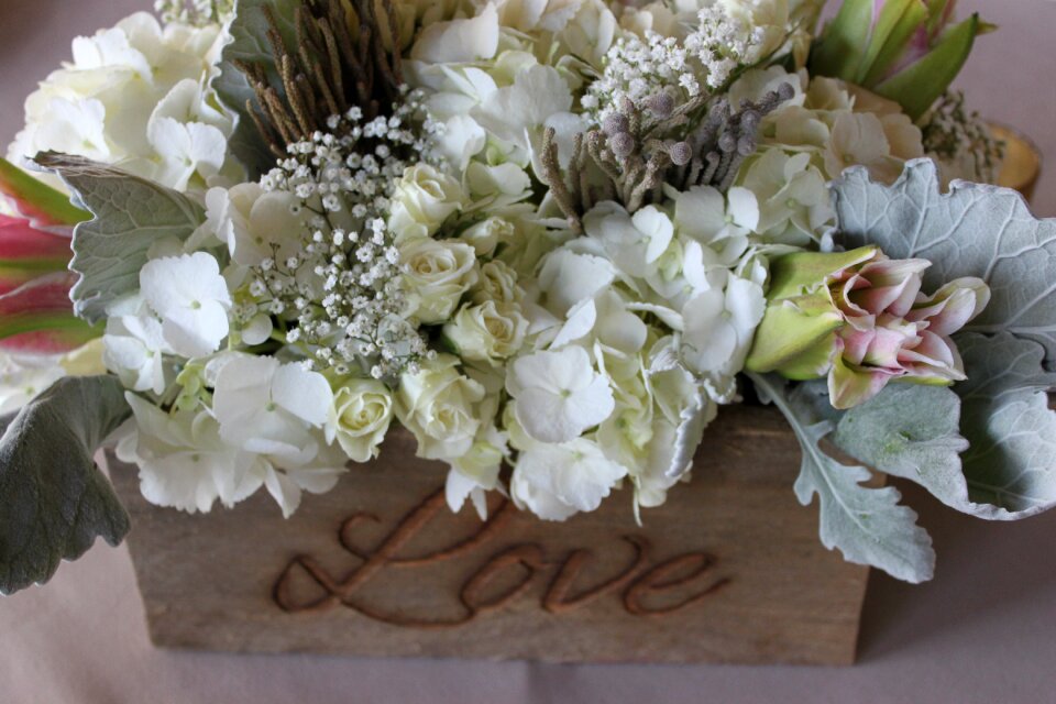 Romance white petals
