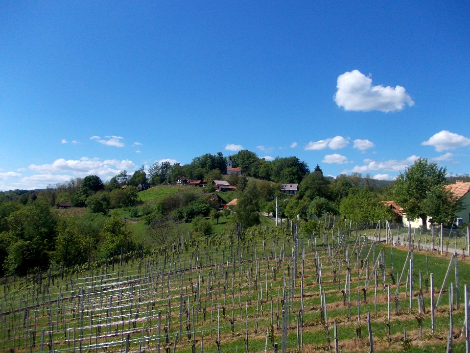 St. Barbara's Church (Blatno) 03