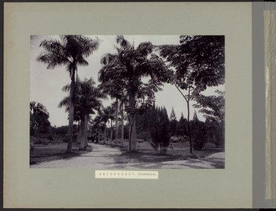 Sriewedari. Stadstuin te Surakarta, Bestanddeelnr 818 25