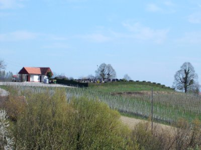 Sromlje 12