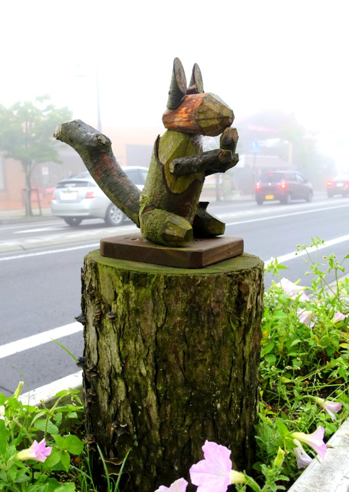 Squirrel - Karuizawa, Japan - DSC02018