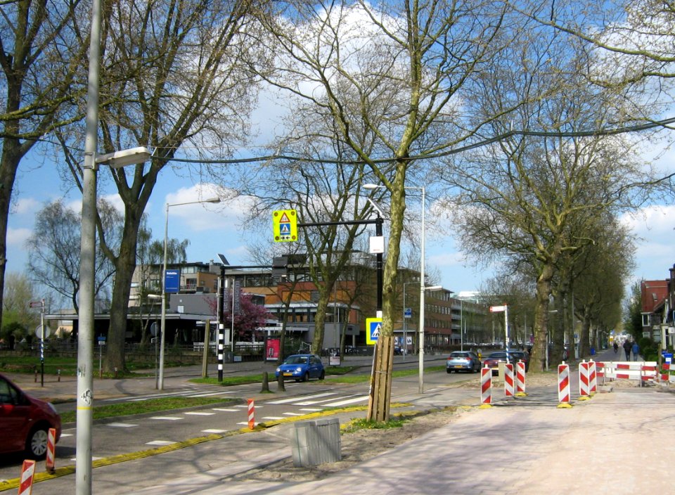Squirrel bridges Amstelveenseweg Amsterdam