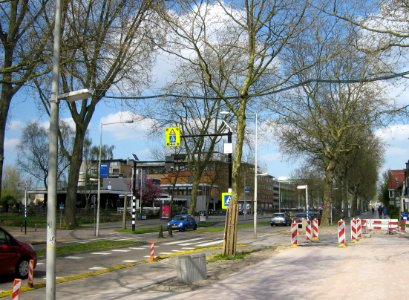 Squirrel bridges Amstelveenseweg Amsterdam