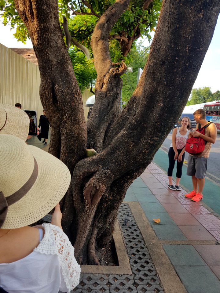 Squirrels at Bangkok Grand Palace - 2017-01-19 - 005