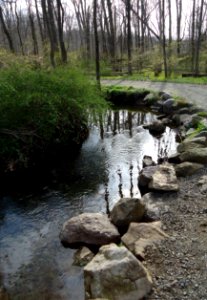 Stream and path at Loantaka Brook Reservation