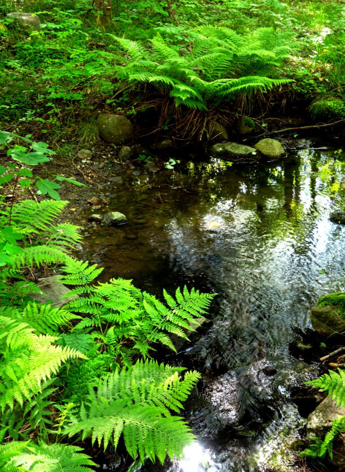 Stream crossing west Myrstigen track 2