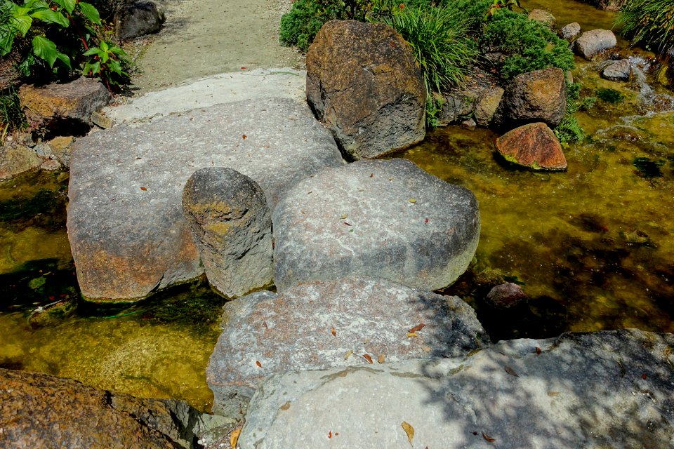 Stream - Morikami Museum and Japanese Gardens - Palm Beach County, Florida - DSC03584