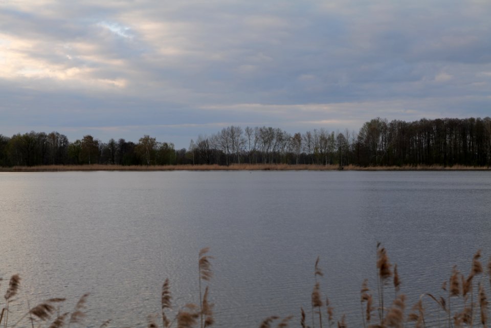 Streckteich 2021-04-24 15
