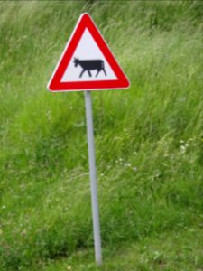 Street sign cow Rateče