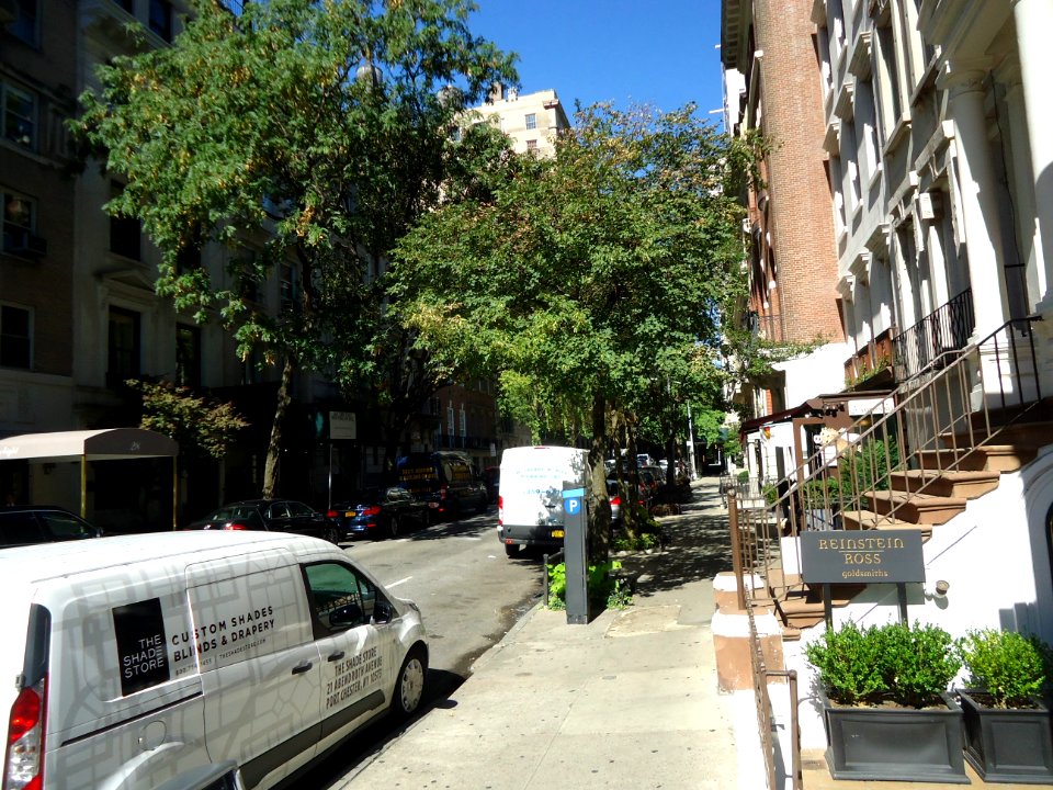 Street scene east side NYC trees buildings etc