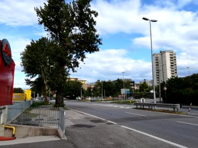 Street in Trieste 2017 68