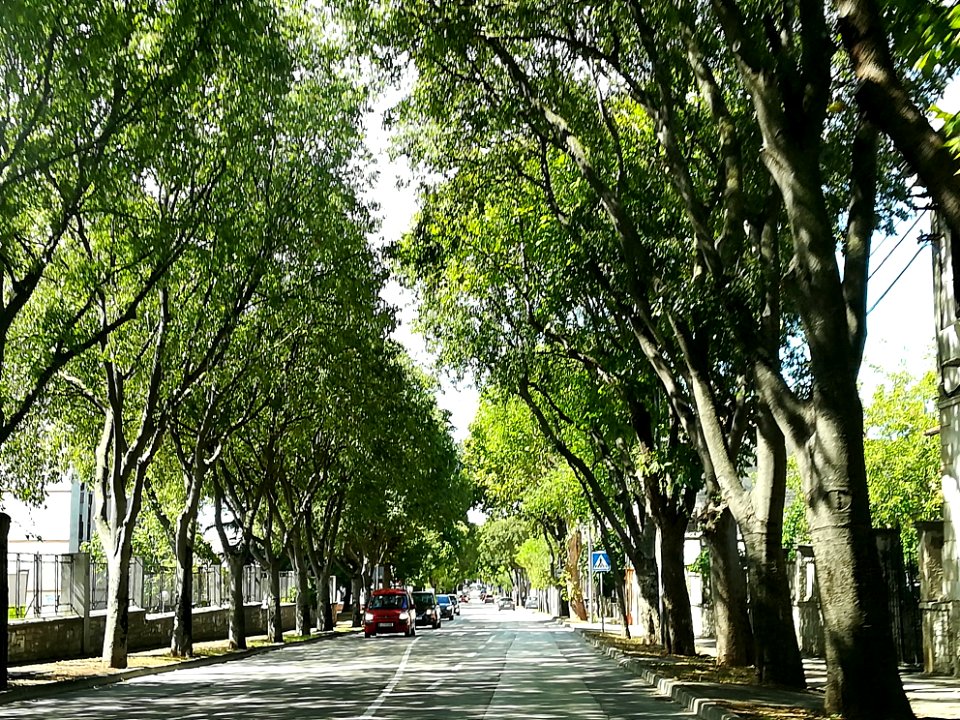 Street in Pula 21