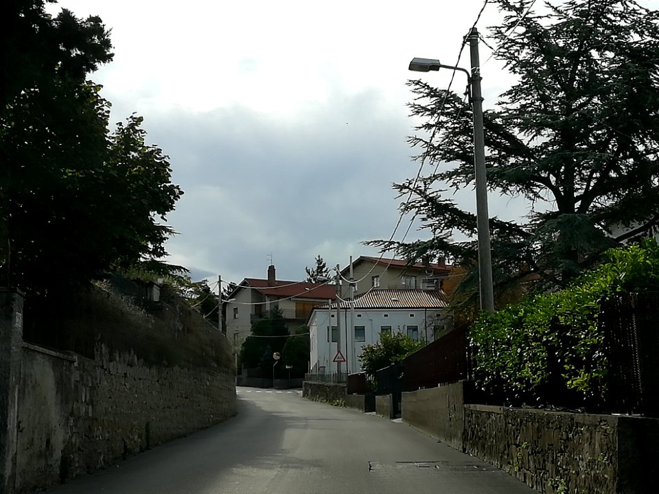 Street in Trieste 2017 61