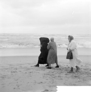Strand bij storm Zandvoort, Bestanddeelnr 914-3010