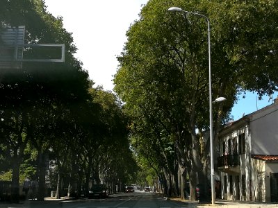 Street in Pula 20
