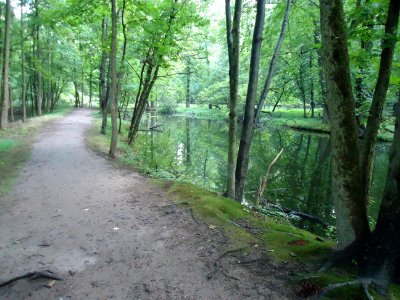Stream and muddy path in Union county park in NJ