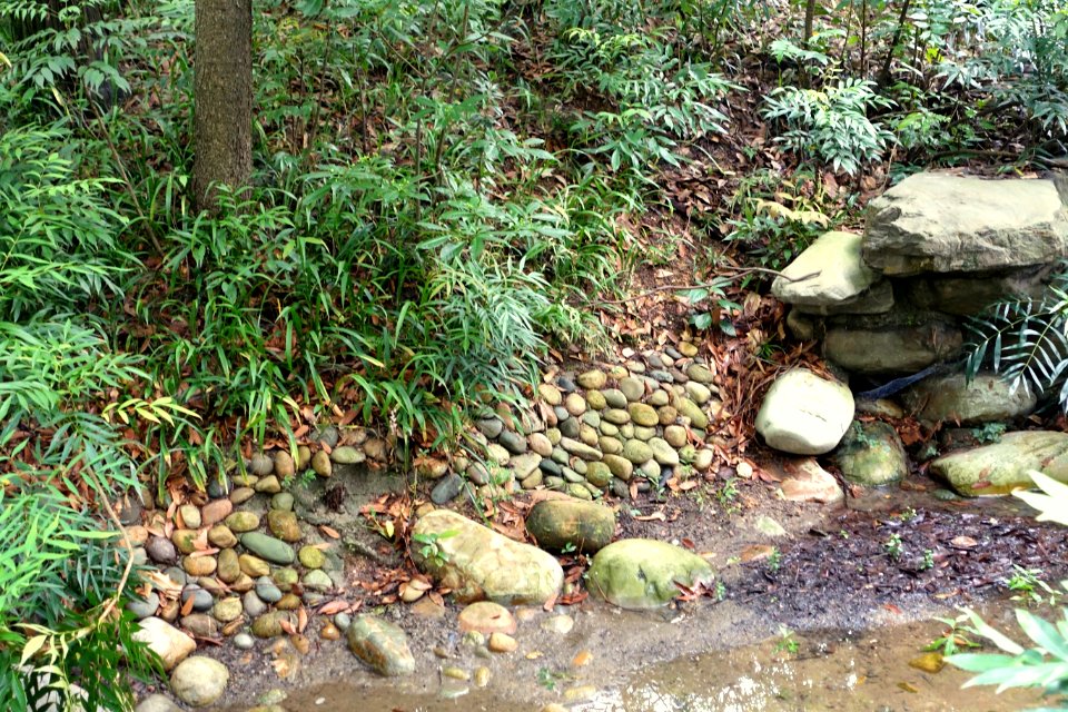 Stream - Chengdu Botanical Garden - Chengdu, China - DSC03508