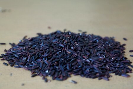 Black rice oryza sativa beras hitam