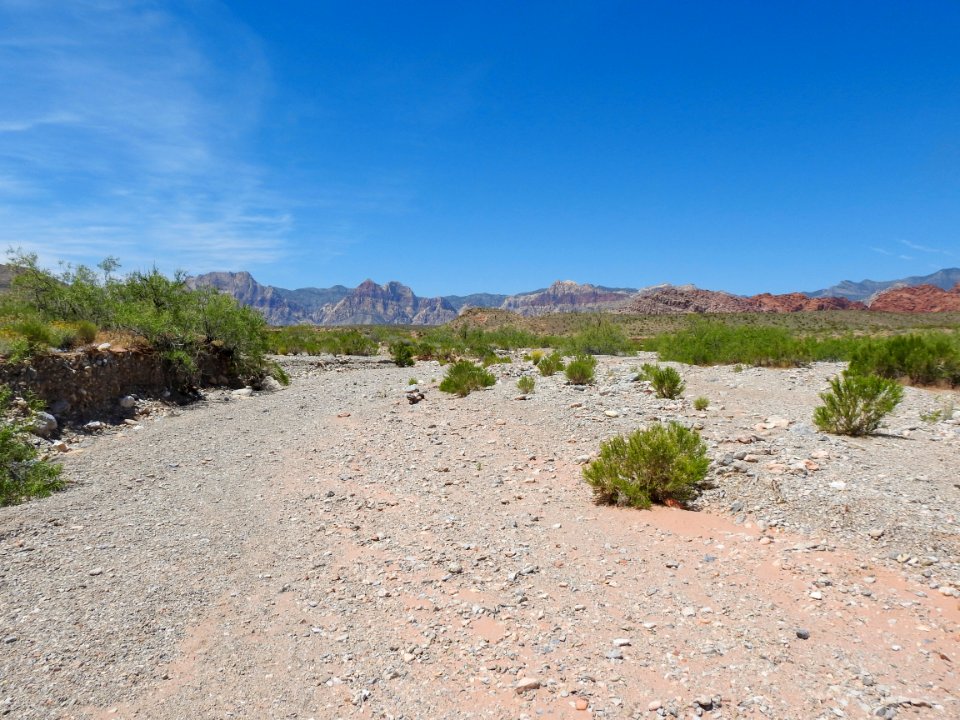 Streambed of Red Rock Wash in the Red Rock Canyon NCA