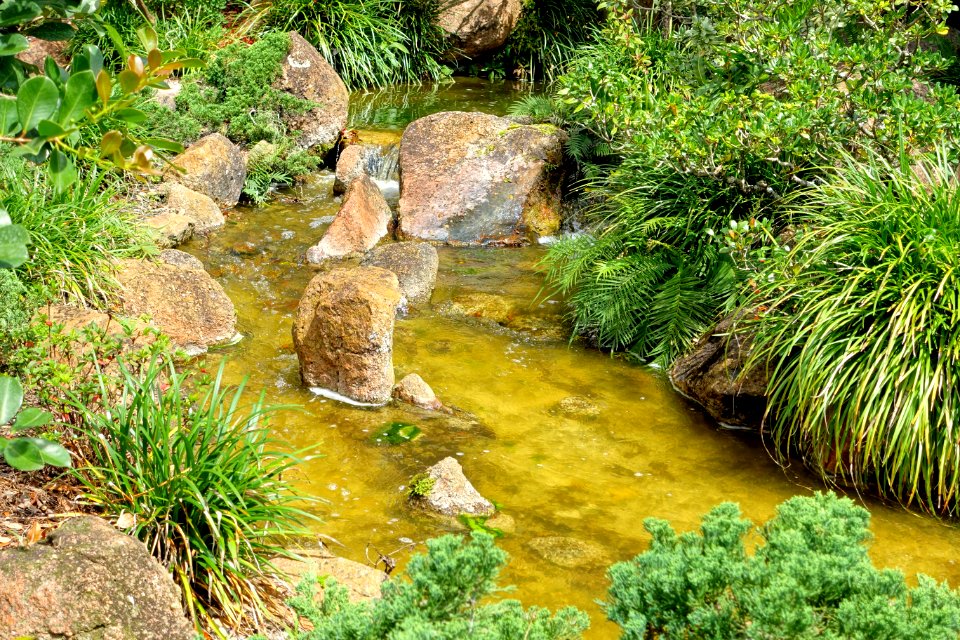 Stream - Morikami Museum and Japanese Gardens - Palm Beach County, Florida - DSC03592