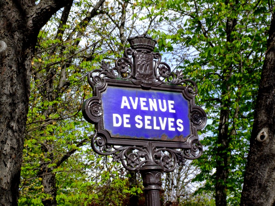 Street sign Avenue De Selves
