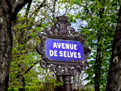 Street sign Avenue De Selves photo