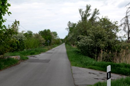Street near Zietenhorst Fehrbellin 2020-05-15 01