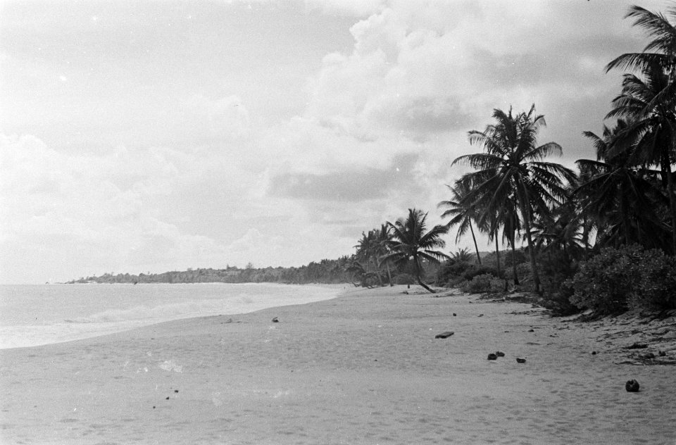 Strand, Bestanddeelnr 131-4-2