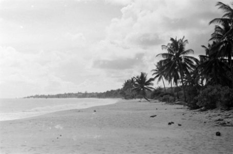 Strand, Bestanddeelnr 131-4-2