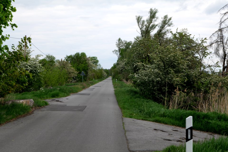 Street near Zietenhorst Fehrbellin 2020-05-15 02