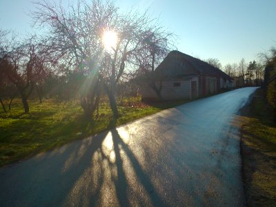 Street Miškininkų (g.), Jonava (way)