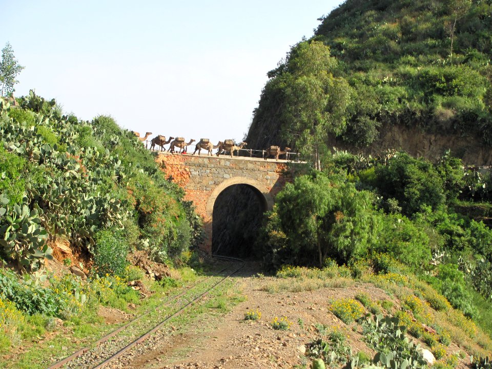 Strecke Brücke Kamele