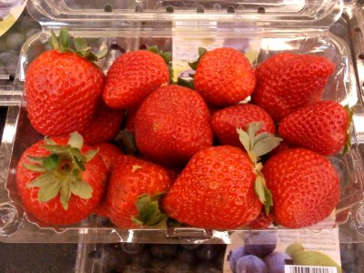 Strawberries in plastic bin
