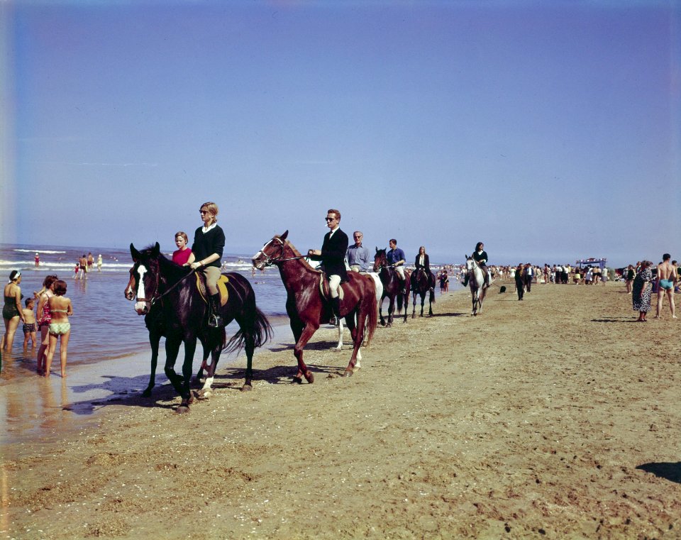 Stranden, ruiters, Bestanddeelnr 254-7101