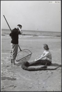 Stranden, seizoenen, folklore, Zeemeermin, Bestanddeelnr 043-0416