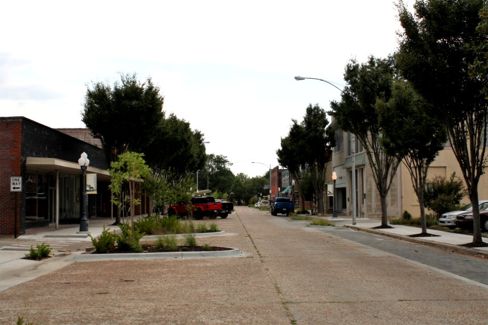 Street trees in Wynne, AR