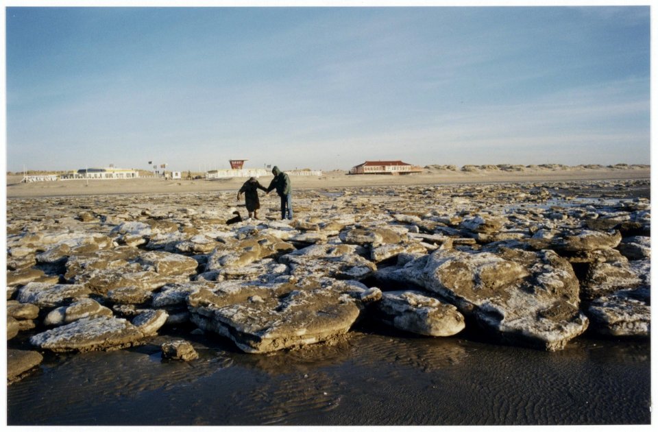 Strand., NL-HlmNHA 54036411