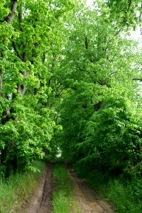 Street Mathildenhof in Hardenbeck 2021-05-29 17
