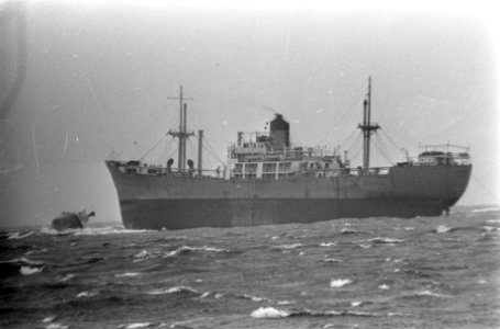 Stranding bij Hoek van Holland, het Griekse vrachtschip en links de sleepboot Vi, Bestanddeelnr 920-1715