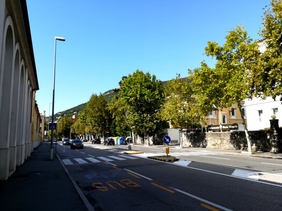 Street in Trieste 64