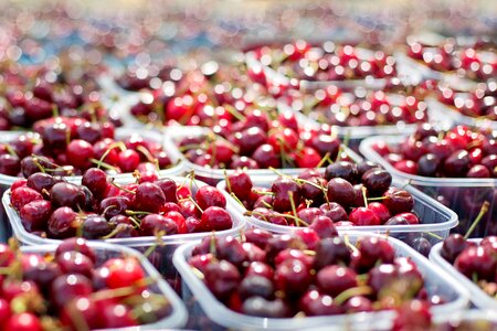 Fruit red ripe photo