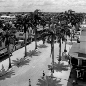 Straat in Paramaribo, Bestanddeelnr 252-4932