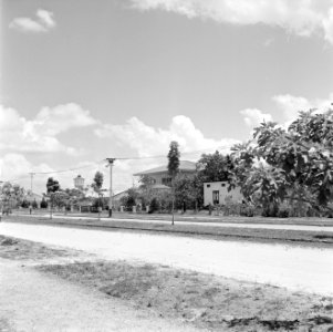 Straat in Paramaribo, Bestanddeelnr 252-2243