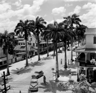 Straat in Paramaribo, Bestanddeelnr 252-4931