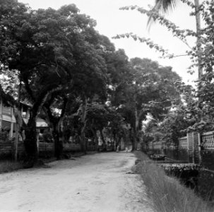 Straat in Saint-Laurent-du-Maronie in Frans- Guyana, Bestanddeelnr 252-6641 photo